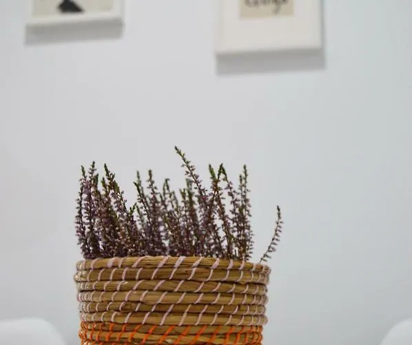 Lejlighed Nova Domus Mérida